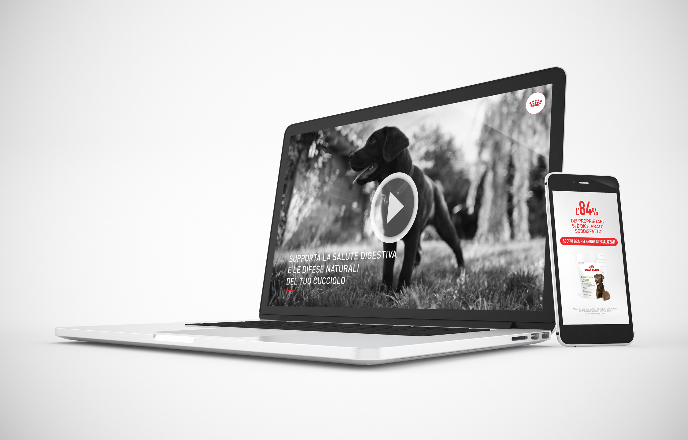 Royal Canin Italia - Video Supplements